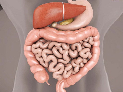 Peritoneal Surface Malignancy